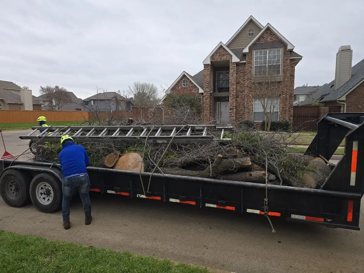 Expert Crown Reduction with proper safety equipment in Davisboro
